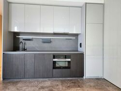 Cuscaden Reserve (D10), Condominium #480791161